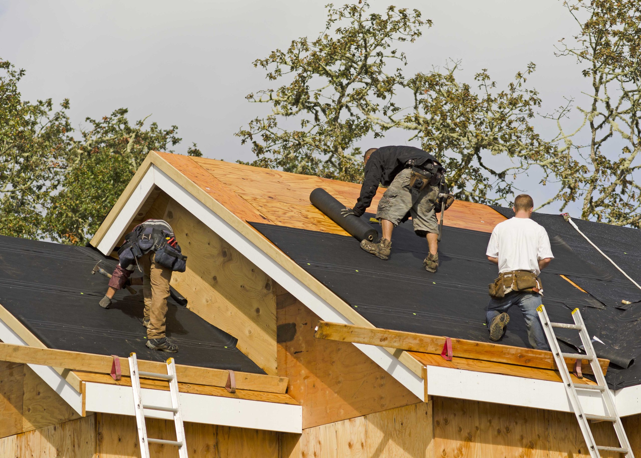 waverly roofing companies